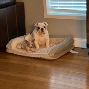 Meet your Posher, Emma